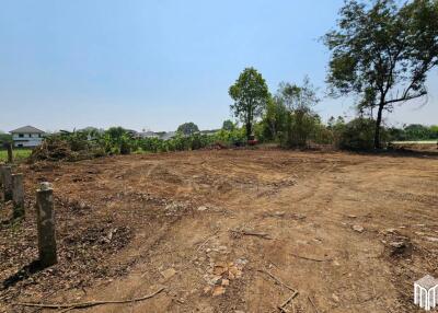 Property id 224LS Land for sale in Saraphi 1Rai 3Ngan 96sq.wa. near Global House Wiang Kum Kam