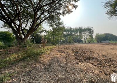 Property id 224LS Land for sale in Saraphi 1Rai 3Ngan 96sq.wa. near Global House Wiang Kum Kam