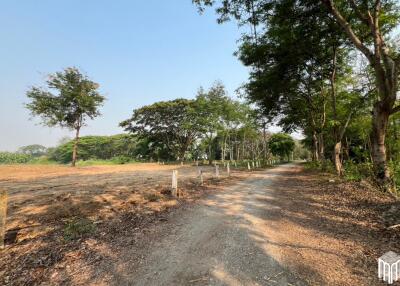 Property id 224LS Land for sale in Saraphi 1Rai 3Ngan 96sq.wa. near Global House Wiang Kum Kam