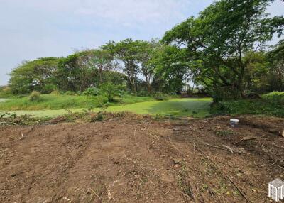 Property id 224LS Land for sale in Saraphi 1Rai 3Ngan 96sq.wa. near Global House Wiang Kum Kam