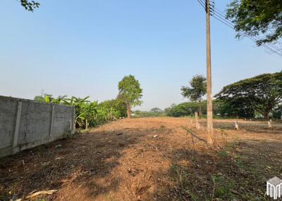 Property id 224LS Land for sale in Saraphi 1Rai 3Ngan 96sq.wa. near Global House Wiang Kum Kam