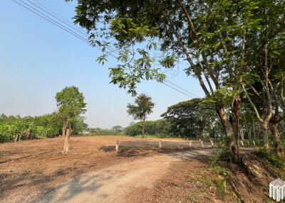 Property id 224LS Land for sale in Saraphi 1Rai 3Ngan 96sq.wa. near Global House Wiang Kum Kam