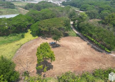 Property id 224LS Land for sale in Saraphi 1Rai 3Ngan 96sq.wa. near Global House Wiang Kum Kam