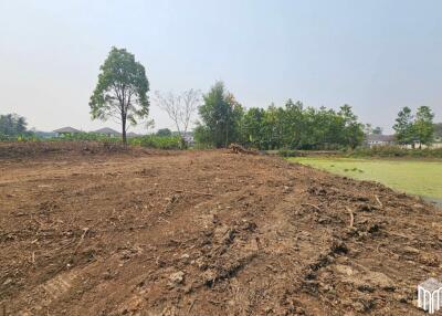 Property id 224LS Land for sale in Saraphi 1Rai 3Ngan 96sq.wa. near Global House Wiang Kum Kam