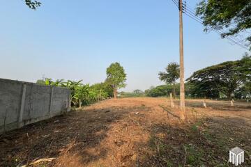 Property id 224LS Land for sale in Saraphi 1Rai 3Ngan 96sq.wa. near Global House Wiang Kum Kam