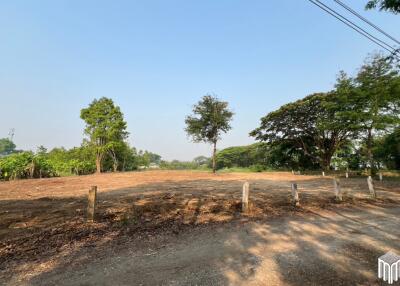 Property id 224LS Land for sale in Saraphi 1Rai 3Ngan 96sq.wa. near Global House Wiang Kum Kam