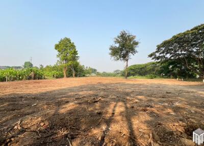 Property id 224LS Land for sale in Saraphi 1Rai 3Ngan 96sq.wa. near Global House Wiang Kum Kam