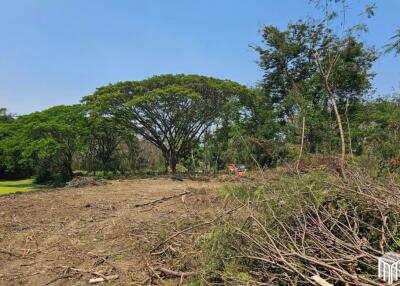 Property id 224LS Land for sale in Saraphi 1Rai 3Ngan 96sq.wa. near Global House Wiang Kum Kam