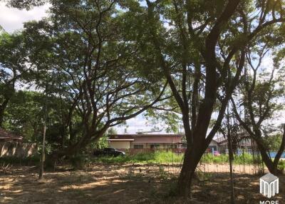 Property ID202LS Land for sale in Mae Rim 1-54 Rai near Nakornping Hospital