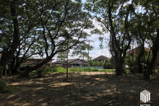 Property ID202LS Land for sale in Mae Rim 1-54 Rai near Nakornping Hospital