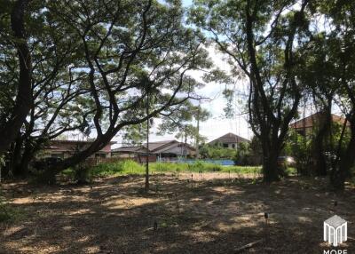 Property ID202LS Land for sale in Mae Rim 1-54 Rai near Nakornping Hospital