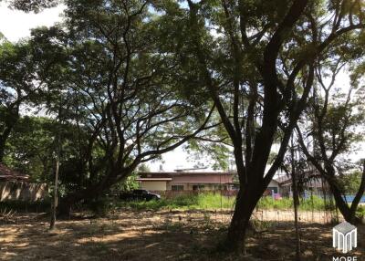 Property ID202LS Land for sale in Mae Rim 1-54 Rai near Nakornping Hospital