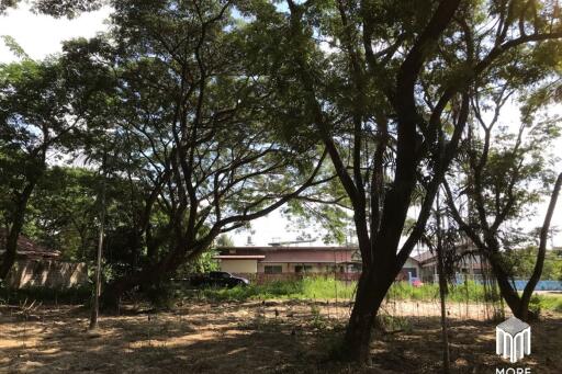 Property ID202LS Land for sale in Mae Rim 1-54 Rai near Nakornping Hospital