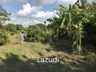 Land For Sale In San Sai