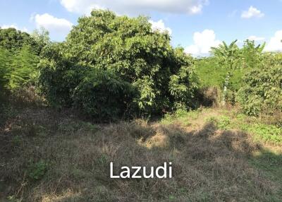 Land For Sale In San Sai