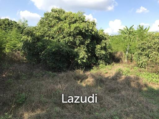 Land For Sale In San Sai