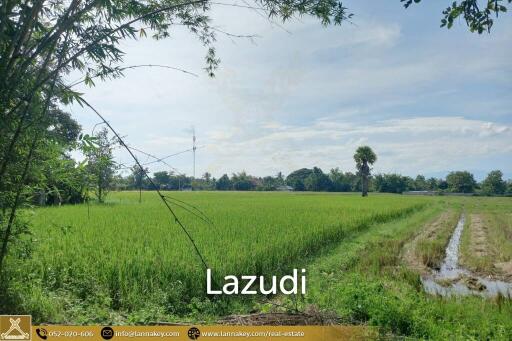 Land For Sale In Rong Wua Daeng