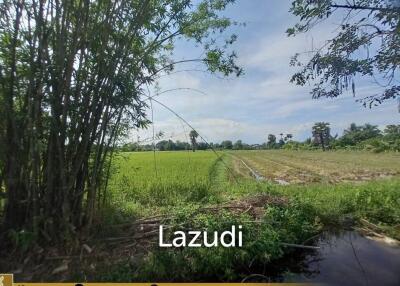 Land For Sale In Rong Wua Daeng