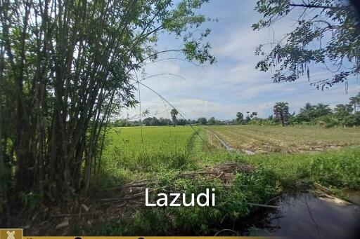 Land For Sale In Rong Wua Daeng