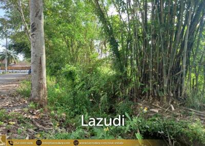 Land For Sale In Rong Wua Daeng