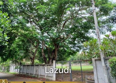 Land For Sale In San Phi Suea