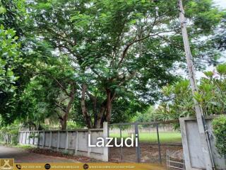 Land For Sale In San Phi Suea