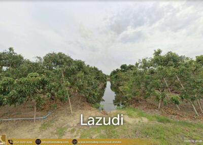 Land For Sale In Nong Tong