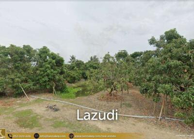 Land For Sale In Nong Tong