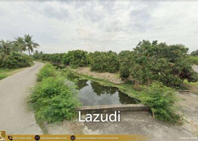 Land For Sale In Nong Tong