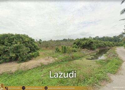 Land For Sale In Nong Tong