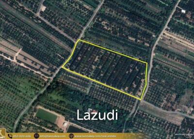 Land For Sale In Nong Tong