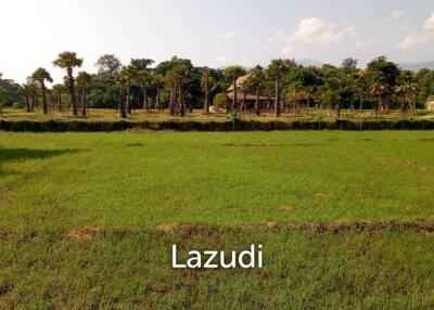 Land For Sale In Mae Raem