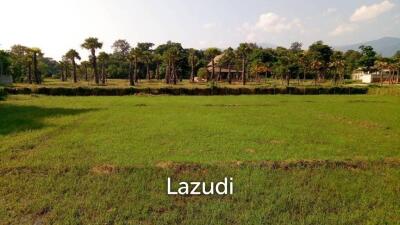 Land For Sale In Mae Raem