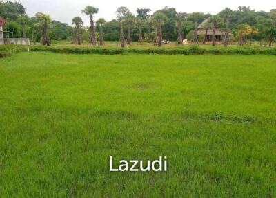 Land For Sale In Mae Raem