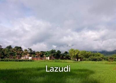 Land For Sale In Mae Raem