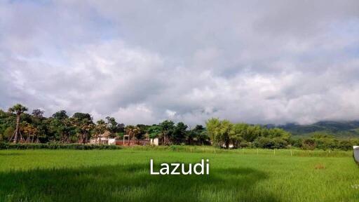 Land For Sale In Mae Raem