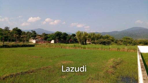 Land For Sale In Mae Raem