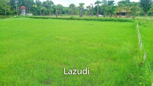 Land For Sale In Mae Raem