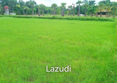 Land For Sale In Mae Raem