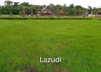 Land For Sale In Mae Raem