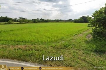 Land For Sale In Sop Mae Kha