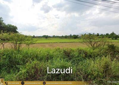 Land For Sale In Sop Mae Kha