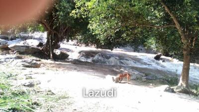 Land For Sale In Ban Luang