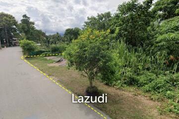 Land For Sale In Tha Wang Tan