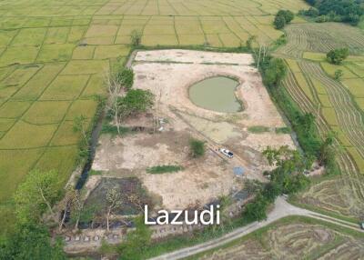 Land For Sale In Luang Nuea