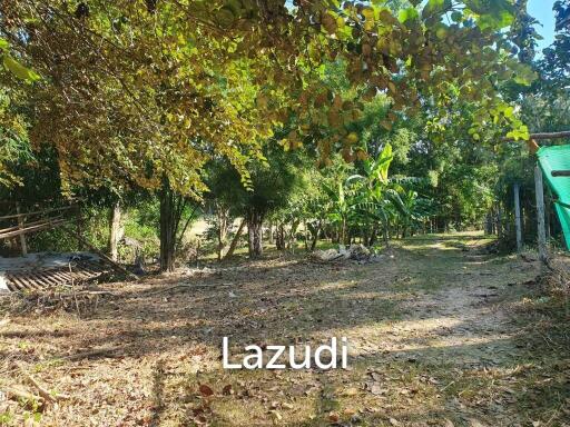 Land For Sale In San Pong