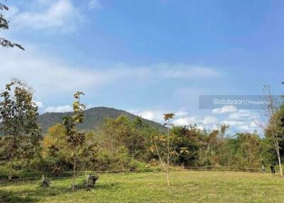 Beautiful 1 rai 76 square wah land plot in Doi Saket zone.