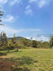 Beautiful 1 rai 76 square wah land plot in Doi Saket zone.