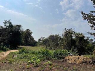 Beautiful 1 rai 76 square wah land plot in Doi Saket zone.