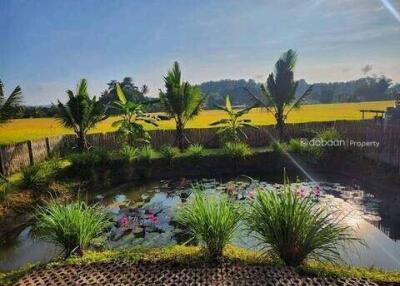 2-story detached house, 3 bedrooms, 2 bathrooms, rice field view, near Mae Malai Market.DB-